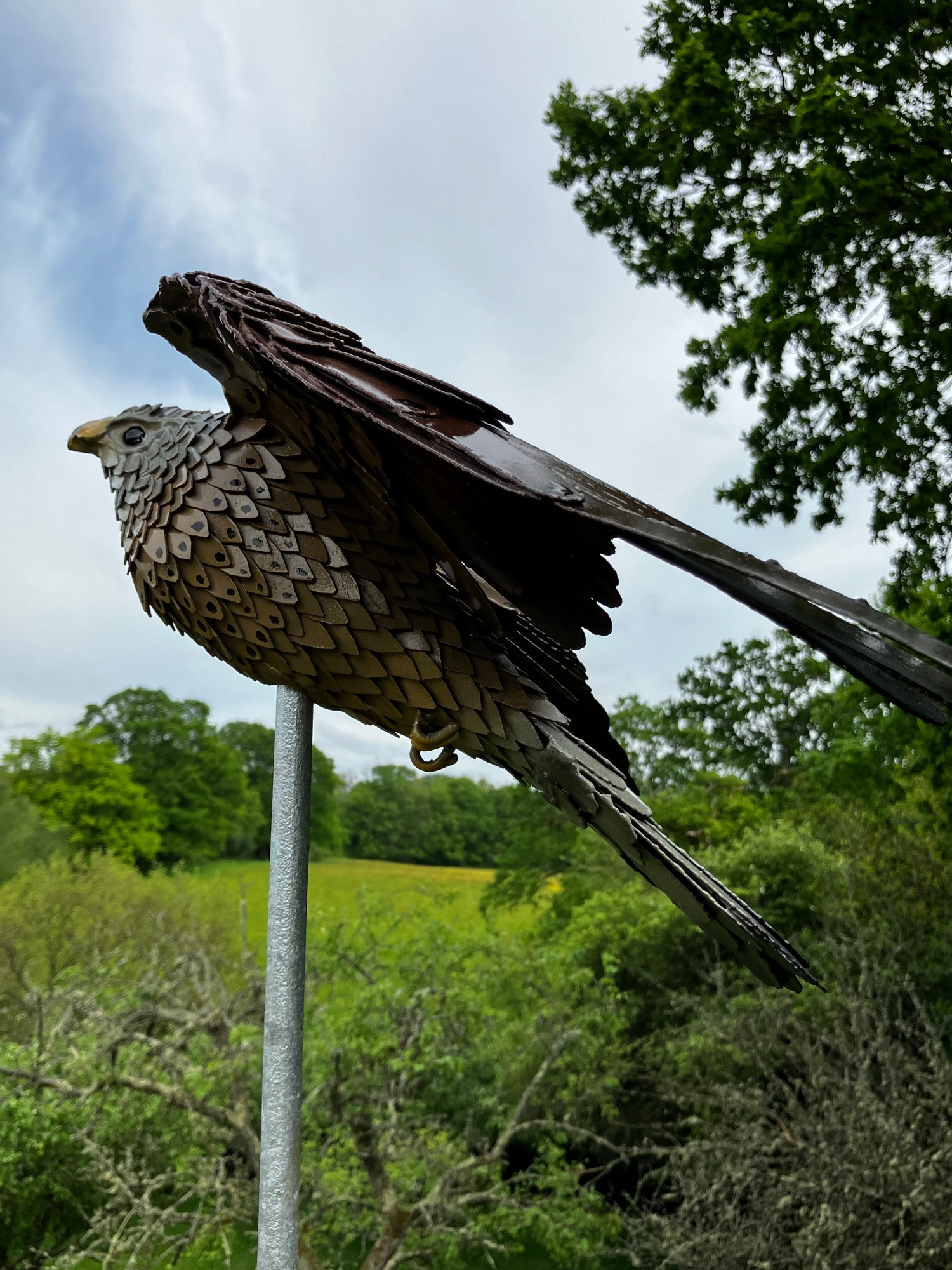 standen kestrel flying