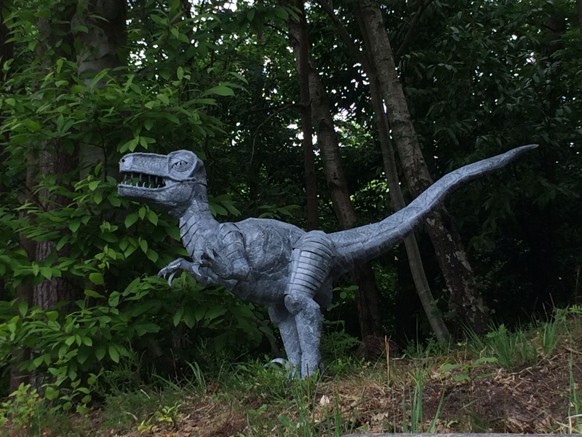 commission velociraptor
