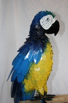 Commission Blue and yellow Parrot