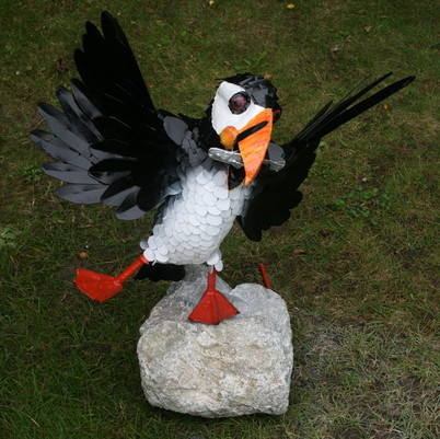 Archive winged puffin
