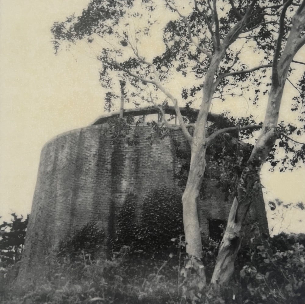 Martello Tower 60