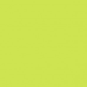 Tula Pink Solid - Limeade