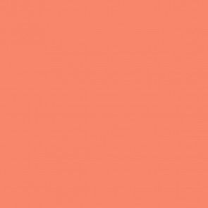 Tula Pink Solid - Persimmon