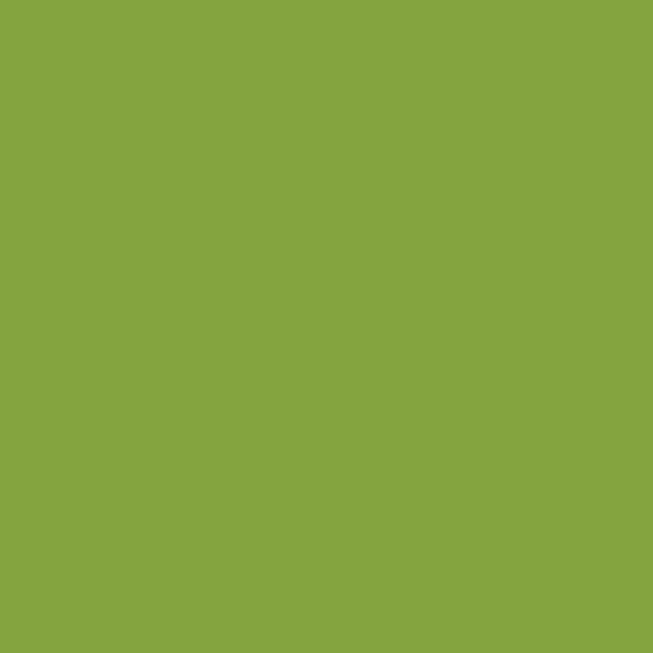 Tula Pink Dragon's Breath Solid - Matcha