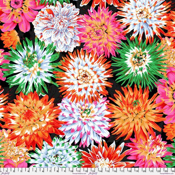 Philip Jacobs Cactus Dahlia - Contrast