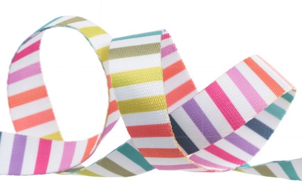 Renaissance Ribbon Tula Pink Tabby Road Deja Vu - Disco Stripe Webbing 1" Width
