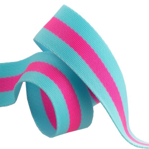 Renaissance Ribbon Tula Pink Nylon Webbing Aqua & Hot Pink  1.5" Width