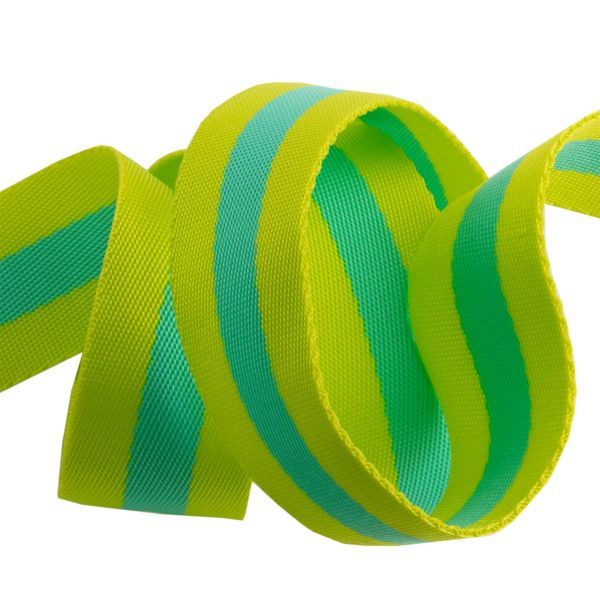 Renaissance Ribbon Tula Pink Nylon Webbing Lime & Turquoise 1.5" Width
