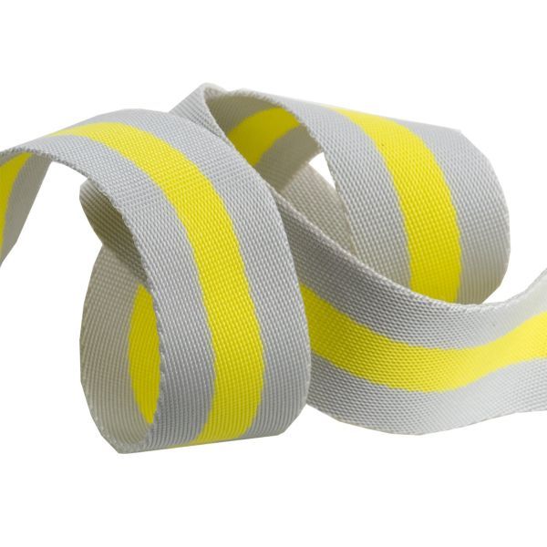 Renaissance Ribbon Tula Pink Nylon Webbing Grey & Lime 1.5" Width