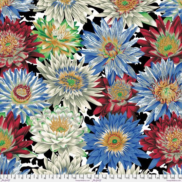 Philip Jacobs Tropical Water Lilies - Contrast