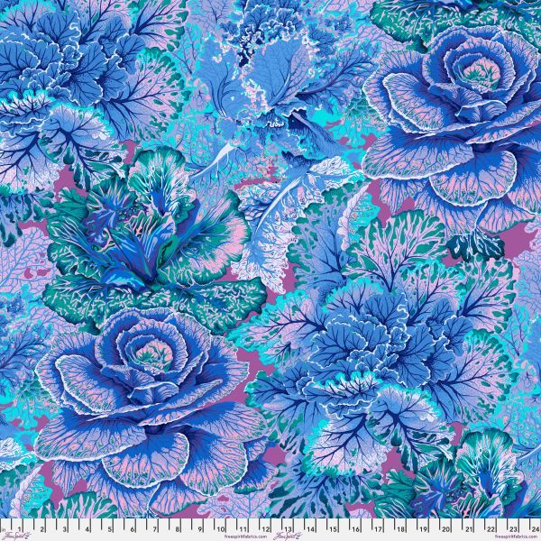 Philip Jacobs Curly Kale - Blue