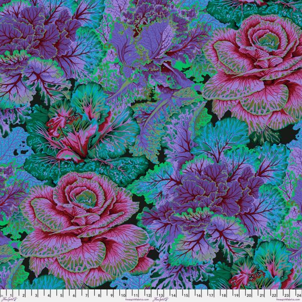 Philip Jacobs Curly Kale - Dark