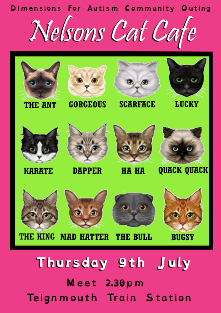 Teignmouth Web poster