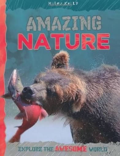 Amazing Nature