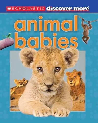 Animal Babies (Scholastic Discover More)