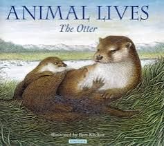 Animal Lives - The Otter
