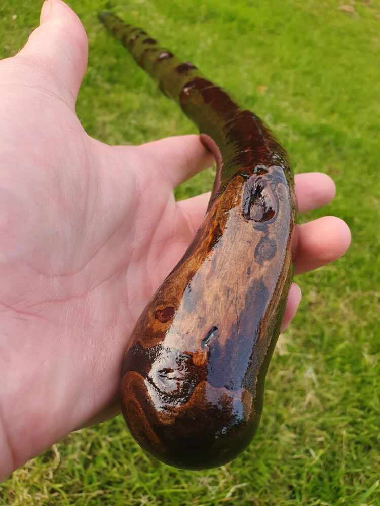 Handcrafted Irish Blackthorn Mobility Aid walking Stick