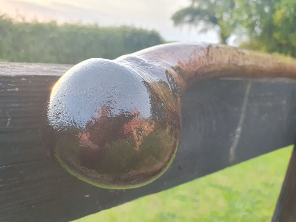 Handcrafted Irish Hazel Walking with a natural Ball style handle