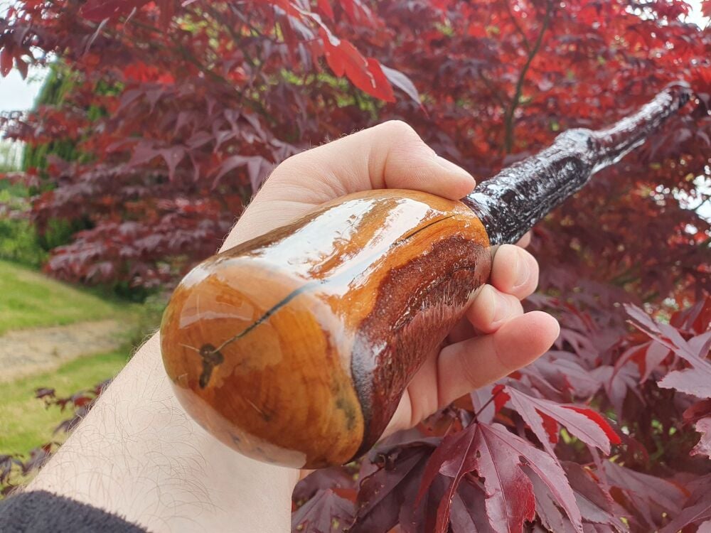 Handcrafted Irish Blackthorn Walking Stick, Natural Knuckle Handle, Traditional Design