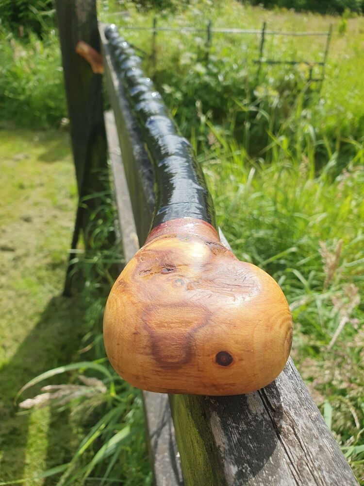 Handcrafted Irish Blackthorn Walking stick
