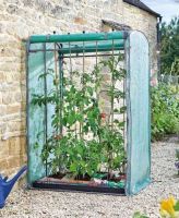 Smart Garden Tomato GroZone Max Double Sided Growhouse 