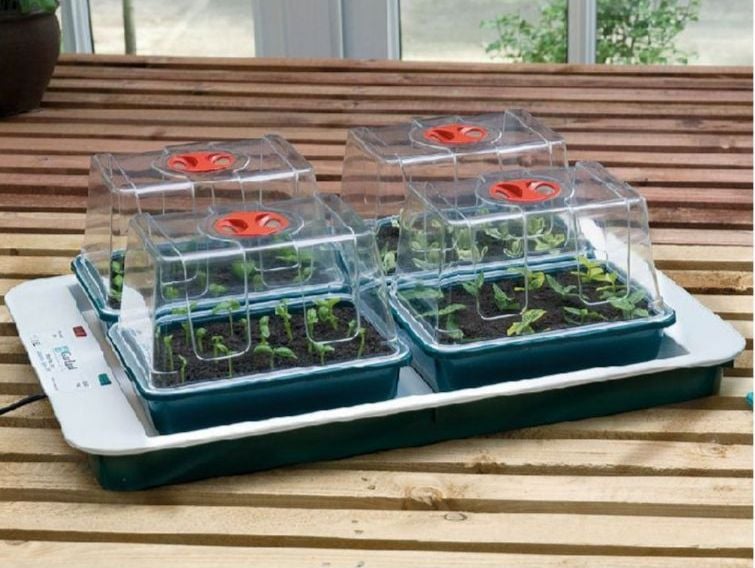 Seed Propagation Heated Propagators Electric Windowsill Propagator