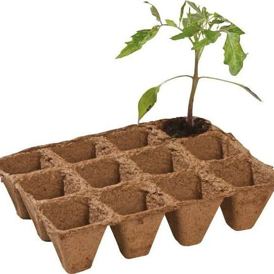 Garland 5cm Square Fibre Pots Strips Biodegradable 3 x 12 (36 pots) 