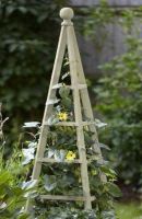 Smart Garden Wooden Obelisk Plant Support - Sage 1.9m