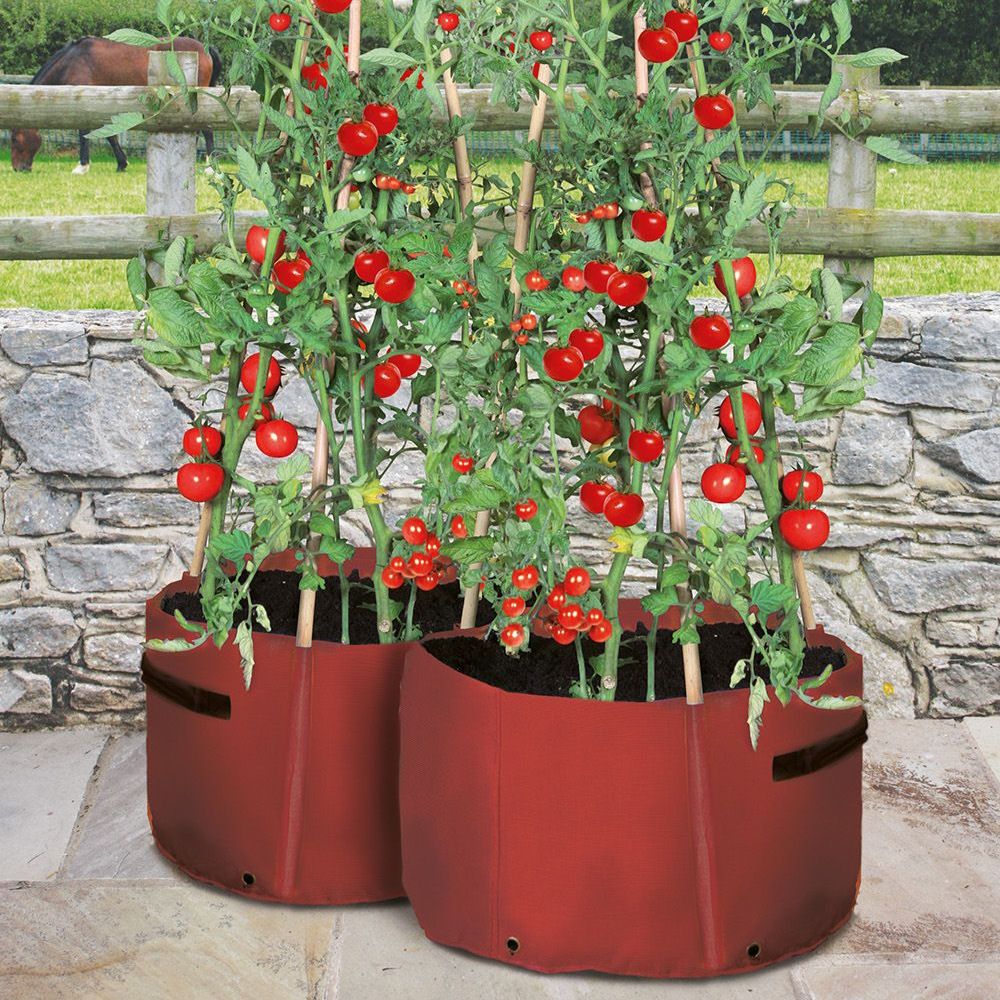 Haxnicks Tomato Patio Planter Tubs - 2 pack