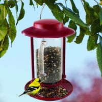 Panacea Combination Garden Bird Feed & Seed Scoop Hopper Feeder