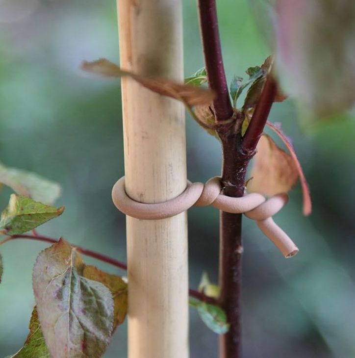 Haxnicks Slim Soft-Tie Plant Training Garden Tie - 8m Roll