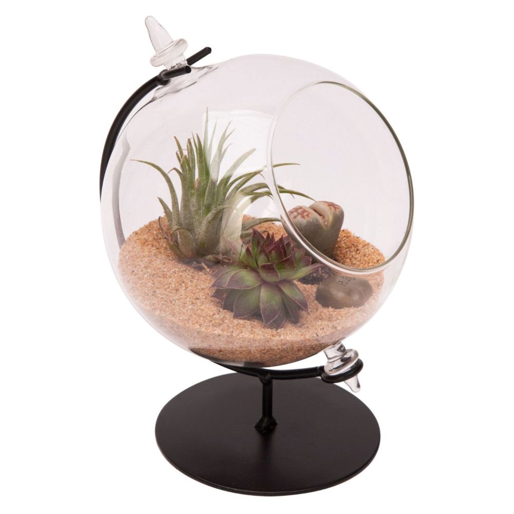 Panacea Desktop Glass Succulent Terrarium Planter - 10cm dia