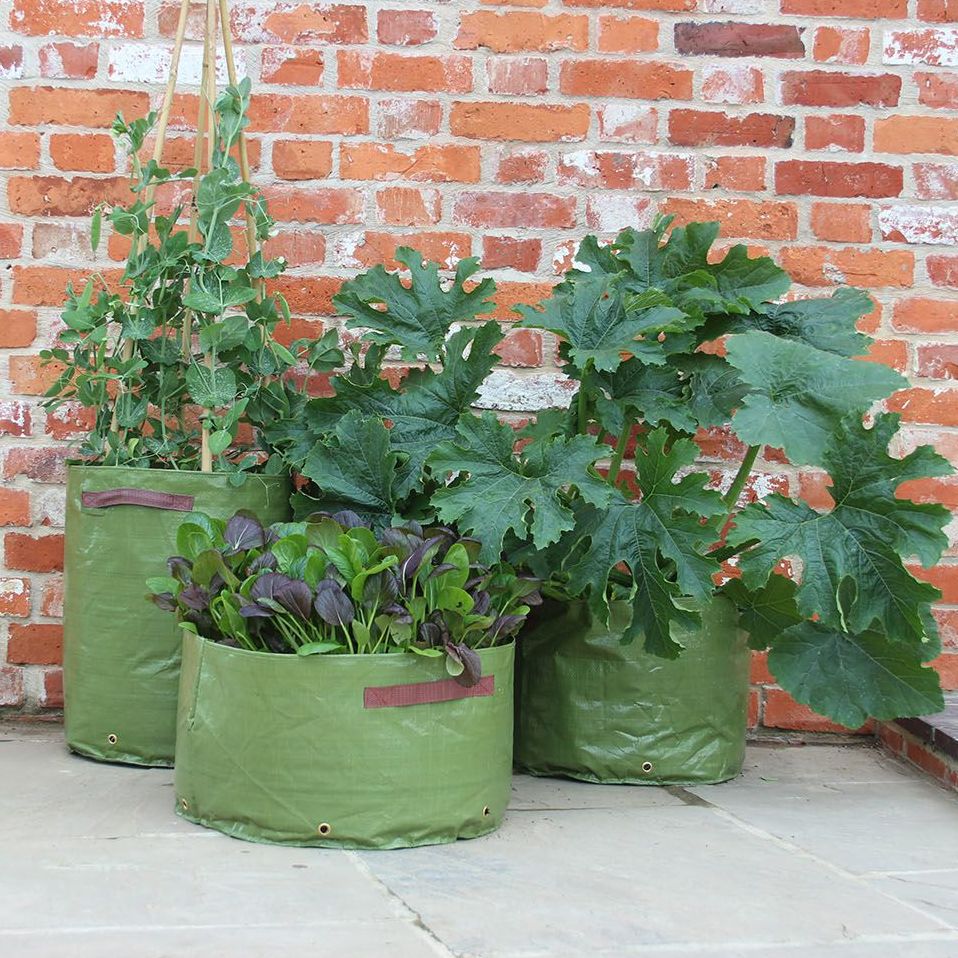 Haxnicks Vegetable Patio Planter Tubs - 3 pack
