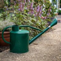 Kent & Stowe Long Reach Metal Watering Can 9L / 2 Gallons Forest Green