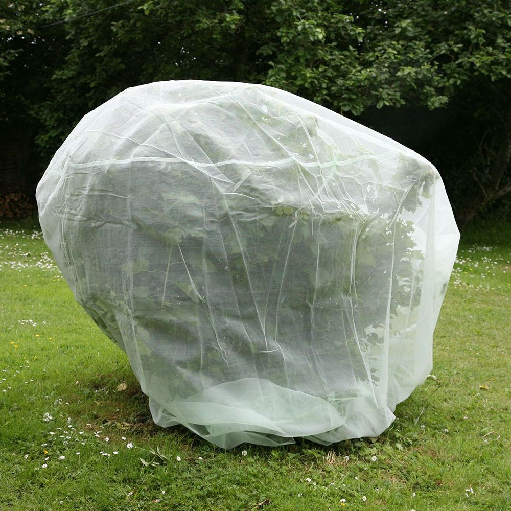 Haxnicks Fruit Tree and Fruit Bush Protection Net Cover 2m dia