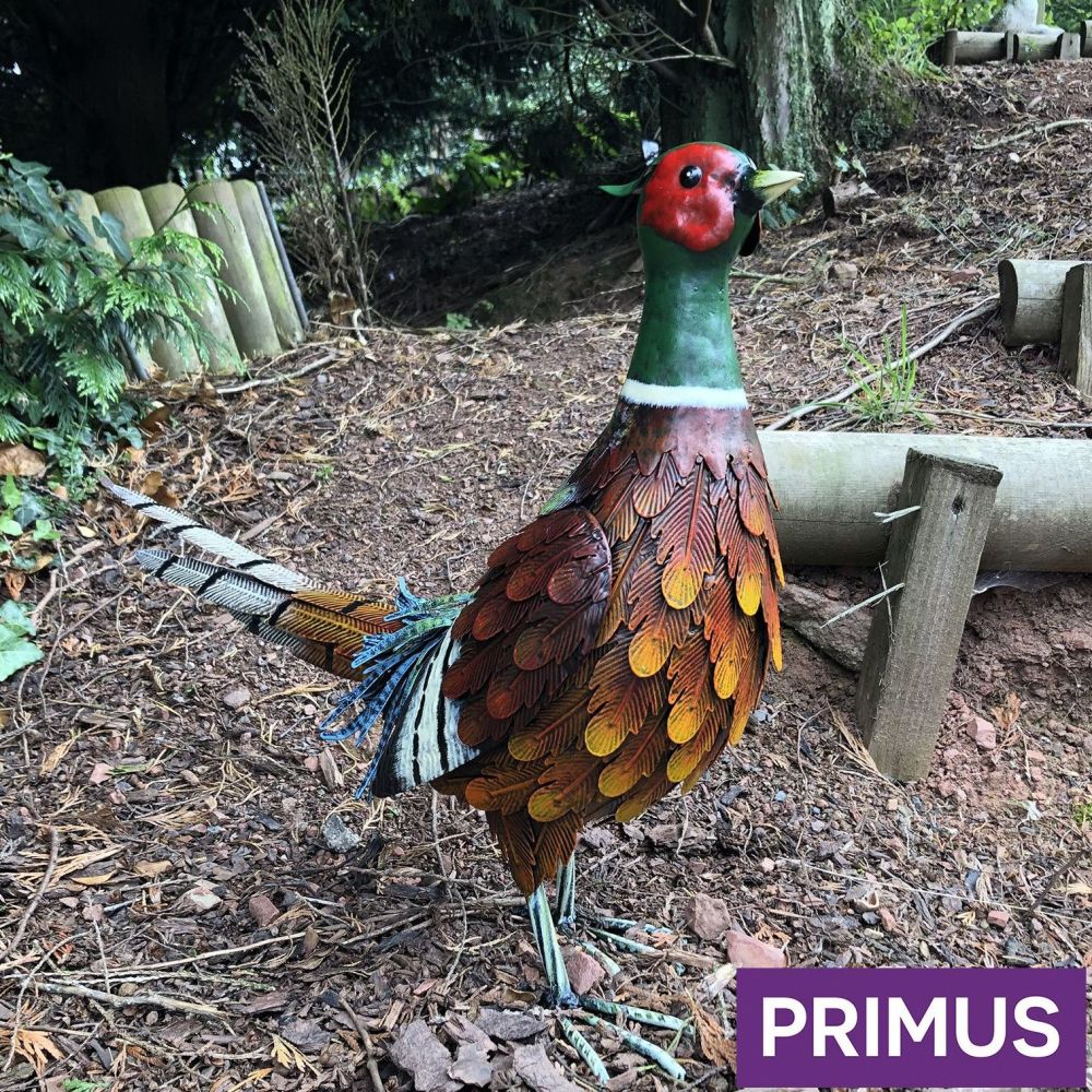 Primus Metal Ring-Necked Pheasant Bird Garden Animal Ornament