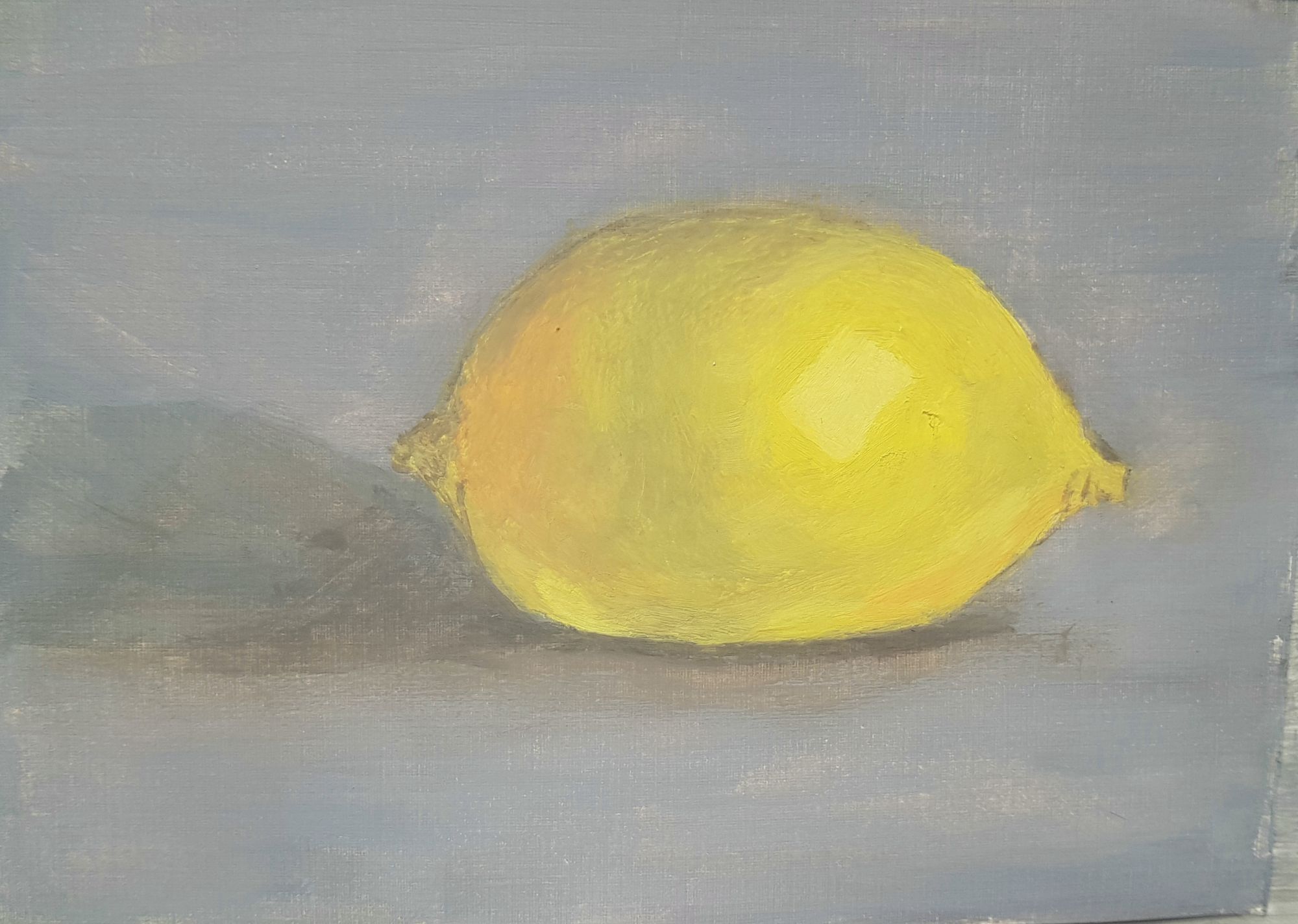 Tracey Falcon, oil painting - "Lemon"