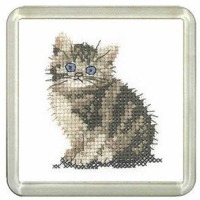 Tabby Kitten Coaster Kit