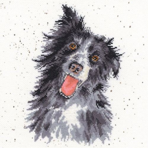 Collie Dog Cross stitch - Hannah Dale
