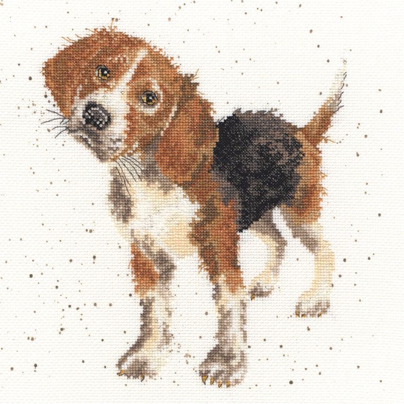 Beagle Dog Cross stitch - Hannah Dale