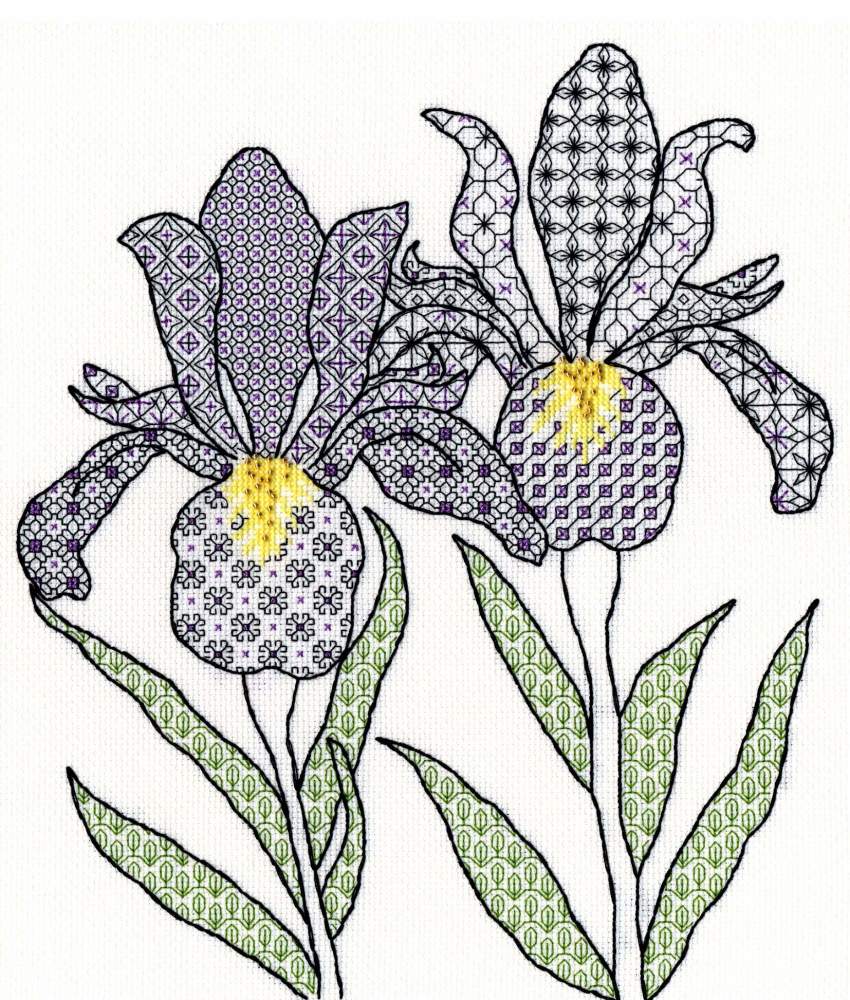 Irises Blackwork Embroidery - Bothy Threads
