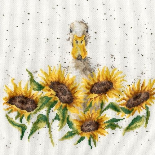 Sunshine - Hannah Dale