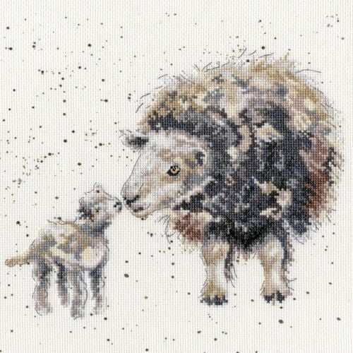 Ewe And Me - Hannah Dale