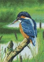 Kingfisher Cross Stitch - Nigel Artingstall