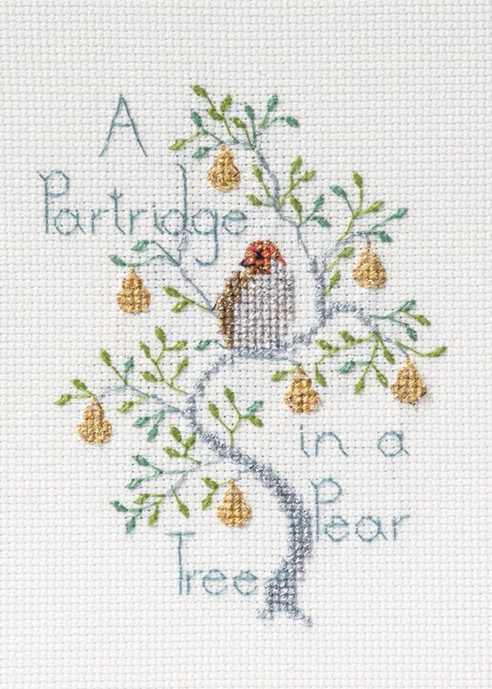 Partridge in a Pear Tree - Christmas Card