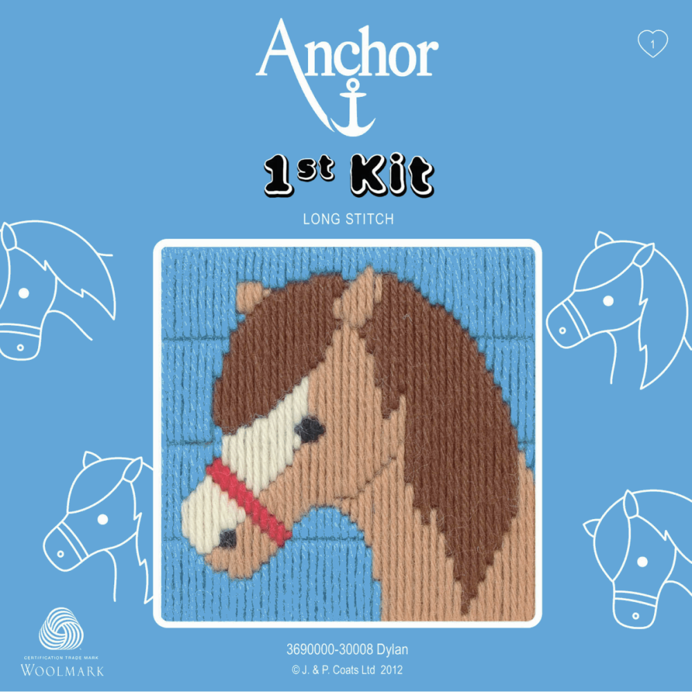 Anchor Cross Long Stitch Tapestry Kit -Perfect for Children/ Beginners -  1st Kit
