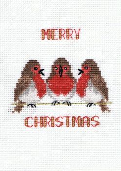 Robin Trio - Christmas Card