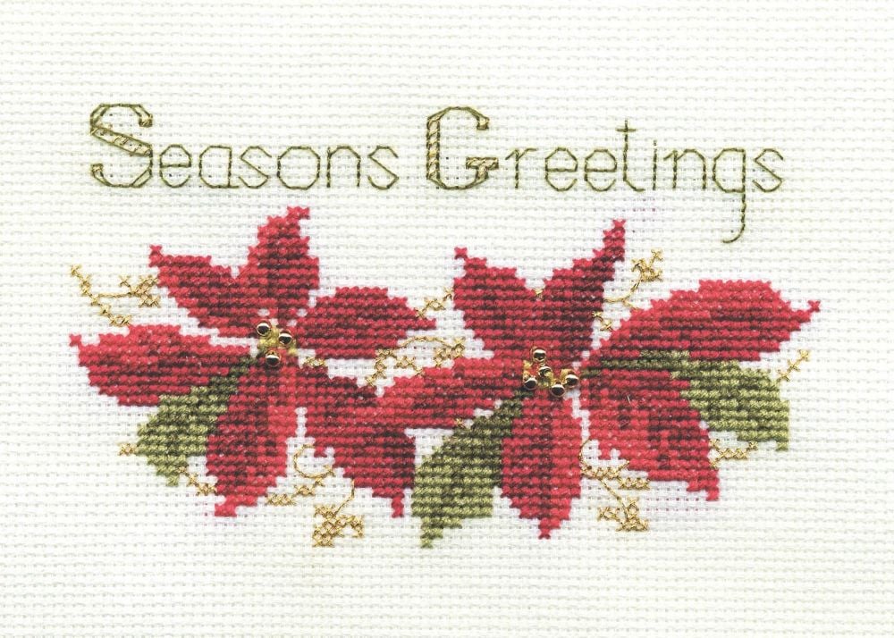Poinsettias - Christmas Card