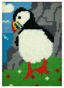 Petra Puffin Beginners Tapestry