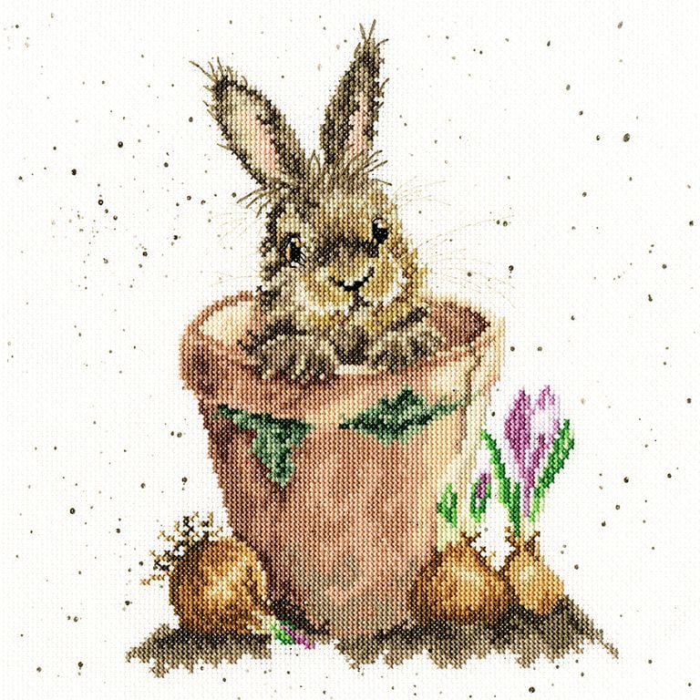 The Flower Pot - Hannah Dale